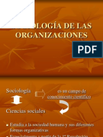 Sociologia de Las Organizaciones