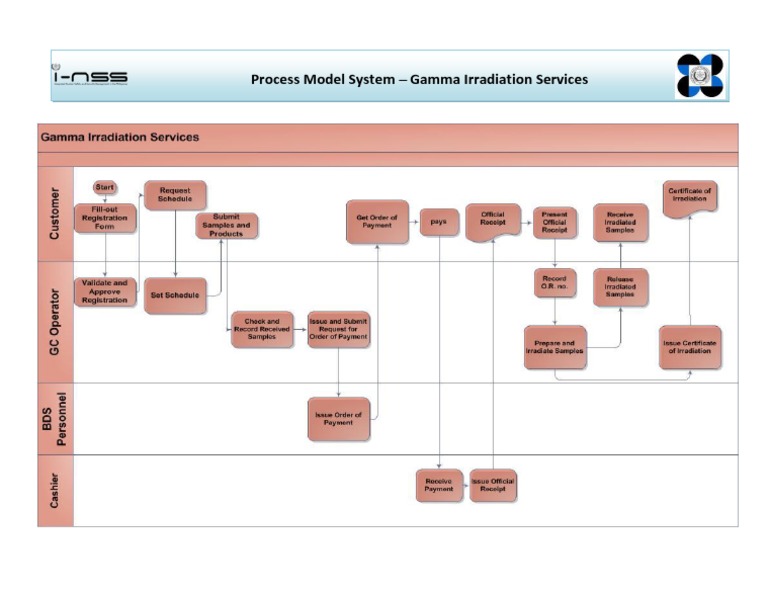 Process Model System - Gamma Irradiation Services | PDF