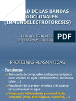 Proteinograma 110328053940 Phpapp01