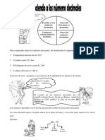 5 Grado - Matematica