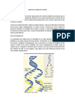 Duplicación o Replicación Del ADN