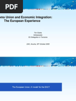 Customs Union EU Experience (1)