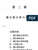 微生物分类_582902460