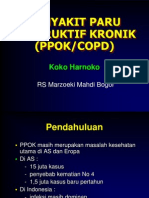 PPOK