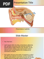 Download Ear Anatomy of Hearing Powerpoint Template by Presentation Templates SN175023028 doc pdf