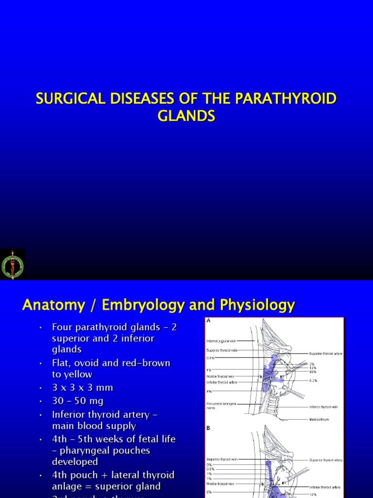 Parathyroid Gland Surgical Diseases Guide | PDF | Parathyroid Gland ...