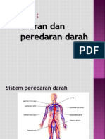 Saluran Darah