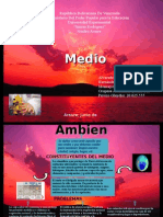 Medio Ambiente Word 2007