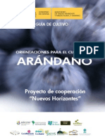 Guia Del Arandano