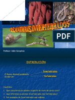 Invertebrados Monterroso PDF