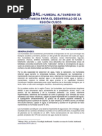 Información Sobre Bofedales