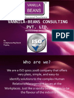 Vannila-Beans Consulting Pvt. LTD.: Professional Excellance