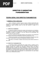 16. Direitos e Garantias Fundamentais - Teoria Geral
