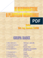 Ghid de Recunoastere a Plantelor Medicinale