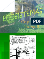 Eco Sistem As