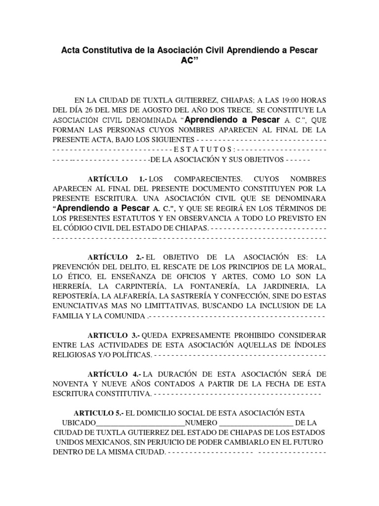 Acta Constitutiva de La Asociación Civil APRENDIENDO A PESCAR PDF Gobierno Elecciones