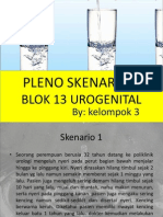 pleno blok urogenital