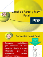 Canal de Parto y Móvil Fetal