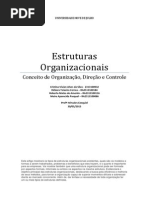 Estruturas Organizacionais - Cristina