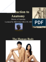 Introduction To Anatomy