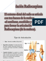 Tipos de articulaciones de la mano