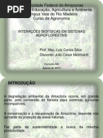 Interações Biofísicas em Sistemas Agroflorestais