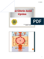 Citric Acid Cycles