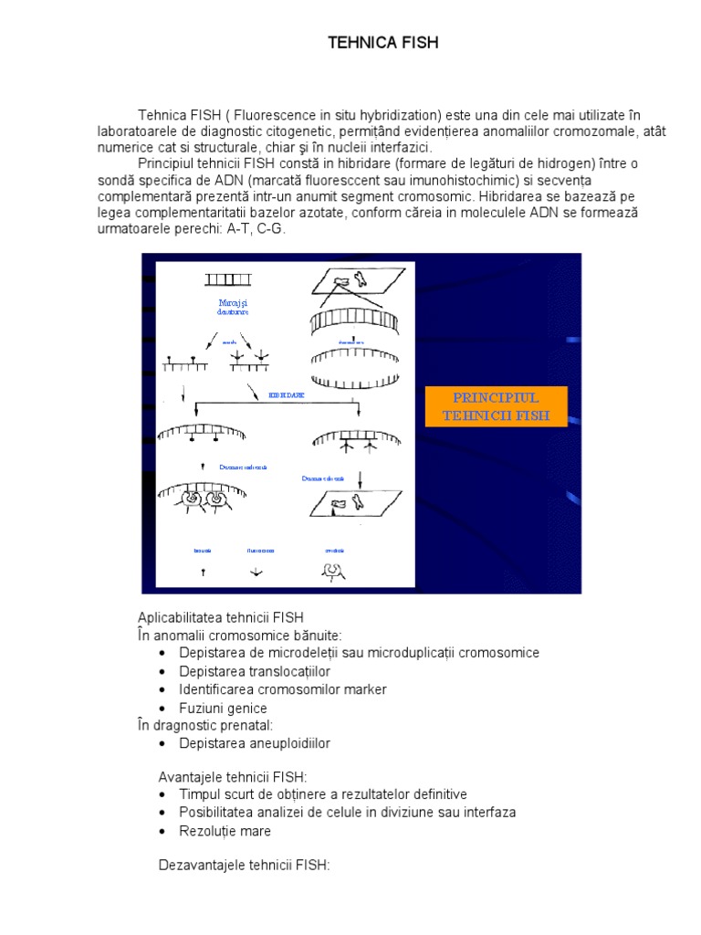 Tehnica Fish | PDF