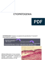 Etiopatogenia Sjs Net