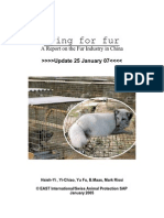 Report Fur China