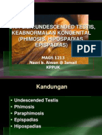 Keabnormalan Kongenital (Hipospadias, Epispadias, Fimosis, Parafimosis, Undescended Testis