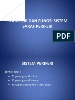 Struktur Dan Fungsi Sistem Saraf Periferi