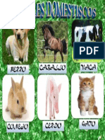 Animales Domesticosd.docx