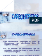 Carbohidratos Exp Miercoles +