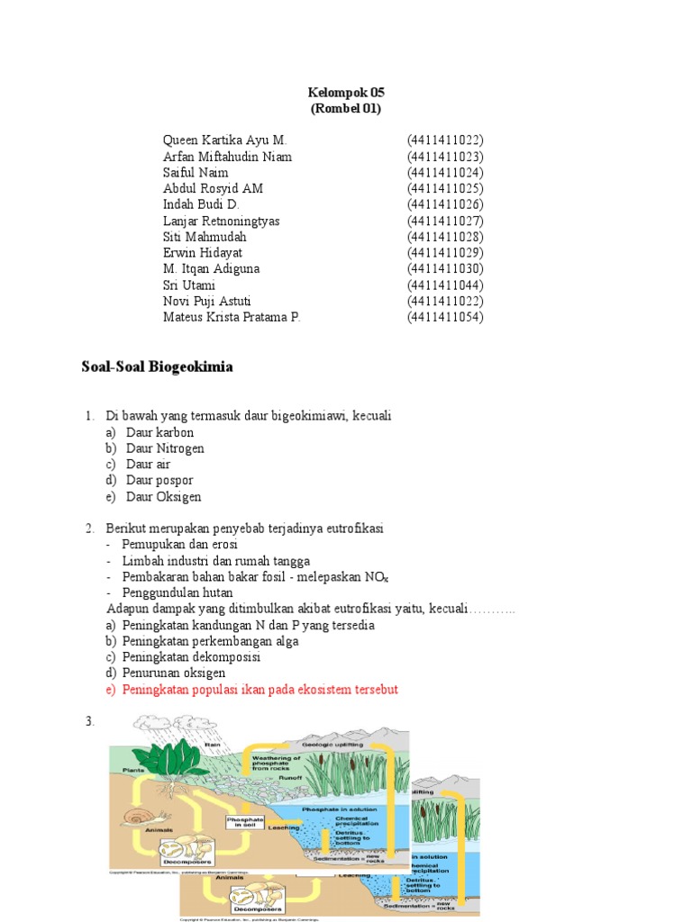 Kelompok 05 Daur Biogeokimia