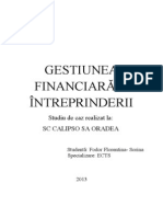 Proiect Gestiune Financiara Calipso