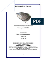 Download Karya Tulis Budidaya Ikan Gurame by Hariman Ramadiansyah SN175368606 doc pdf