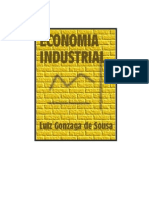 Economia Industrial