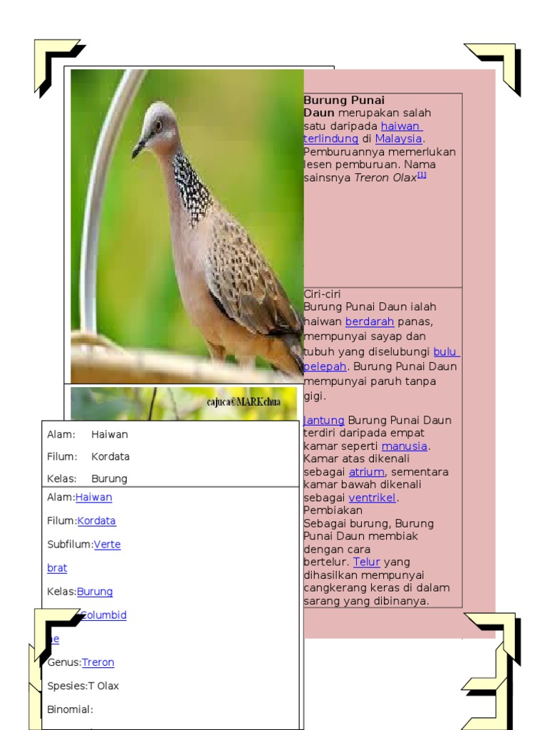 These Animals Are Pusat Maklumat Rakyat Ppd Sri Aman Facebook