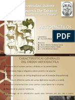 Características y familias de artiodáctilos en México