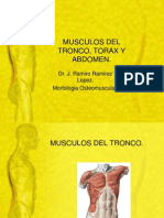 Musculos Del Tronco, Torax y Abdomen