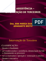 Assistência-e-Intervenção-de-Terceiros