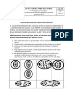 Taller de Recuperacion Grado Octavo Biologia