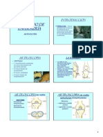 Artroscópia y Ligamentoplastia