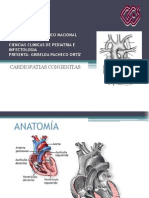 cardiopatiascongenitas-121206190234-phpapp01