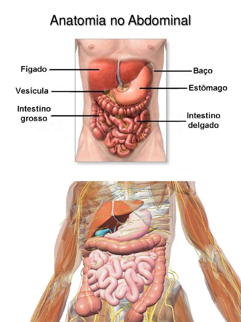 Ferimento No Abdome e Amputação | PDF, image size:768x1024