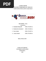 Download Laporan Mikvir Uji sterilitas Jamu by Biratika Dewi Karlina SN175524320 doc pdf