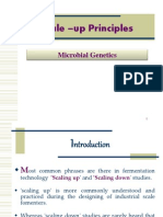 Scale Up Principles