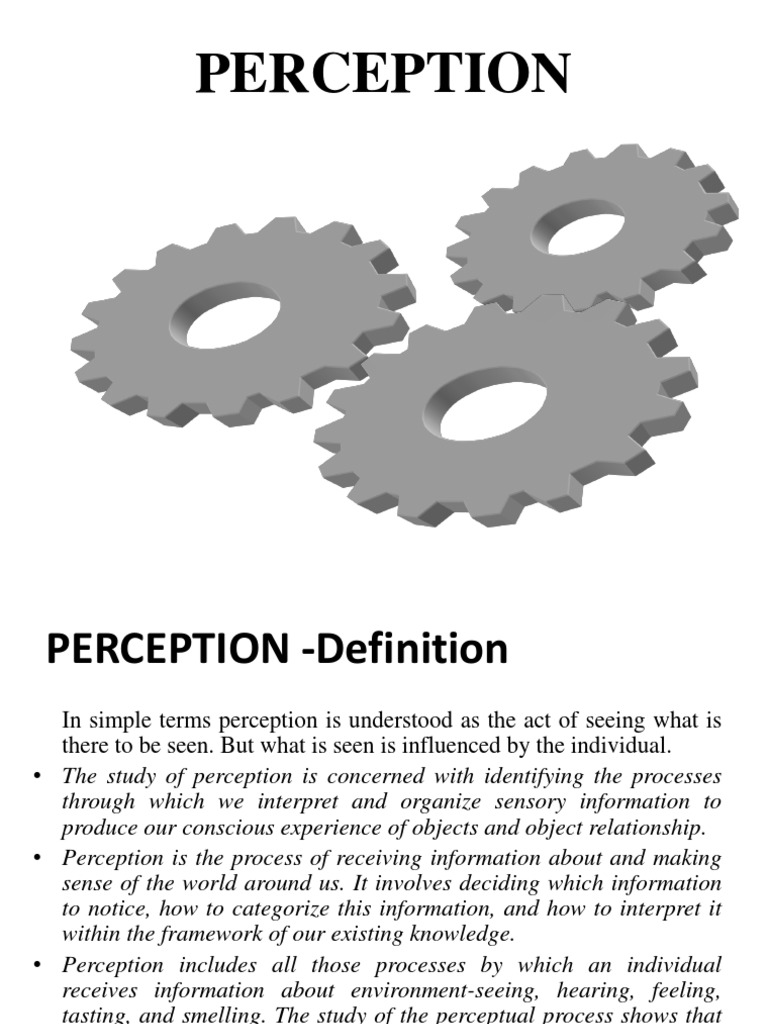 Understanding Perception and Its Influences | PDF | Perception | Ignorance