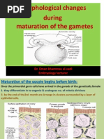 3rd Lecture Morphological Changes During Maturation o Te Gametea